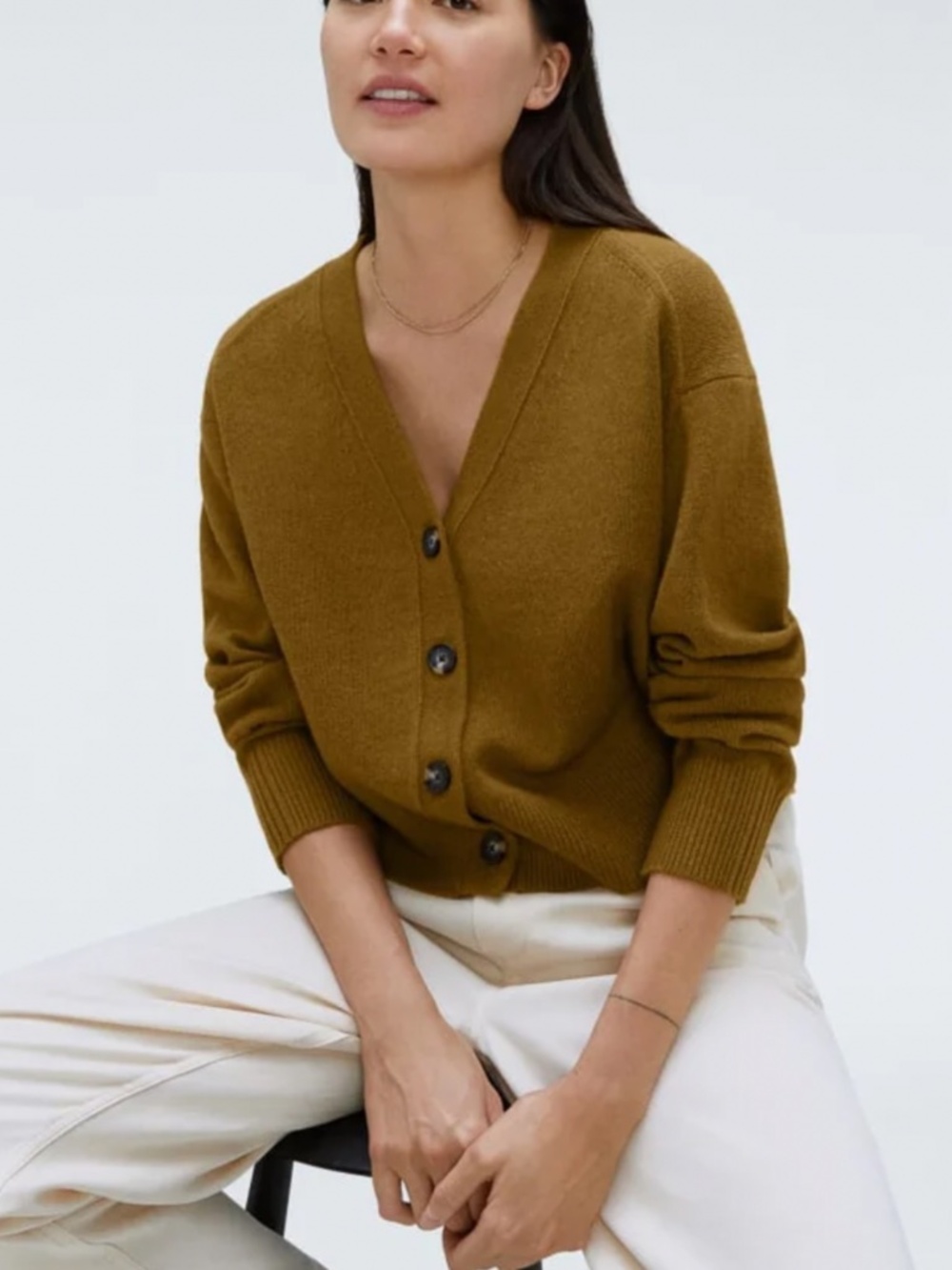 Everlane Cashmere Cardigan